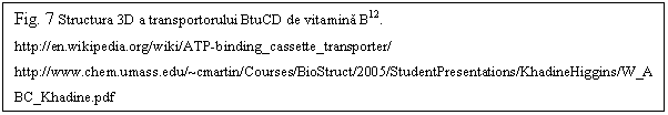 Text Box: Fig. 7 Structura 3D a transportorului BtuCD de vitamina B12.
http://en.wikipedia.org/wiki/ATP-binding_cassette_transporter/ http://www.chem.umass.edu/~cmartin/Courses/BioStruct/2005/StudentPresentations/KhadineHiggins/W_ABC_Khadine.pdf
