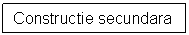 Text Box: Constructie secundara

