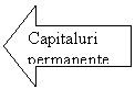 Left Arrow: Capitaluri permanente