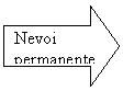 Right Arrow: Nevoi permanente