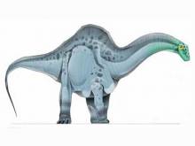 apatosaurus