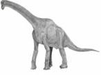 brachiosaurus