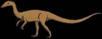 coelophysis