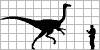 gallimimus