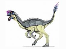 oviraptor