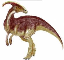 parasaurolophus