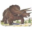 triceratops