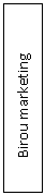 Text Box:         Birou marketing