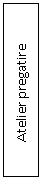 Text Box:          Atelier pregatire