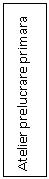Text Box: Atelier prelucrare primara