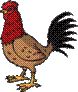 Free Red Dutch Bantam Rooster clip art provided by Animal Clipart.