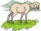 Lamb Clipart