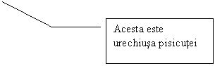 Line Callout 3: Acesta este urechiusa pisicutei