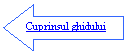 Left Arrow: Cuprinsul ghidului