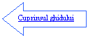 Left Arrow: Cuprinsul ghidului