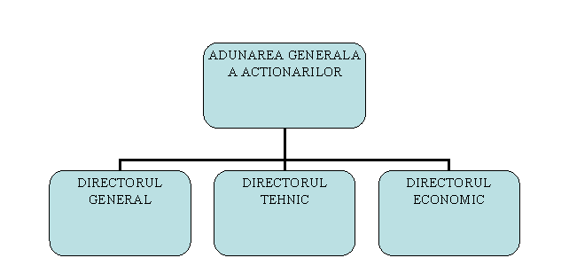 Organization Chart