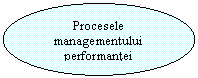 Oval: Procesele managementului performantei