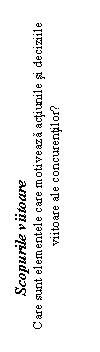 Text Box: Scopurile viitoare
Care sunt elementele care motiveaza actiunile si deciziile viitoare ale concurentilor?
