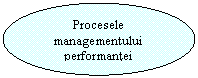 Oval: Procesele managementului performantei