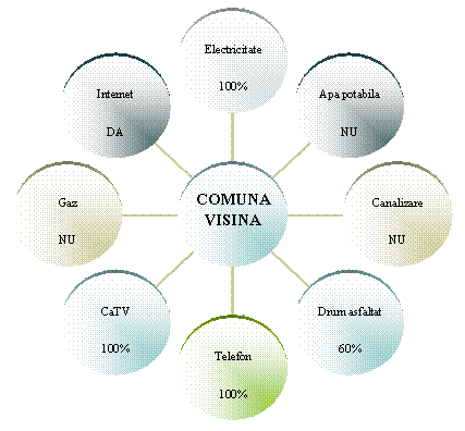 Radial Diagram